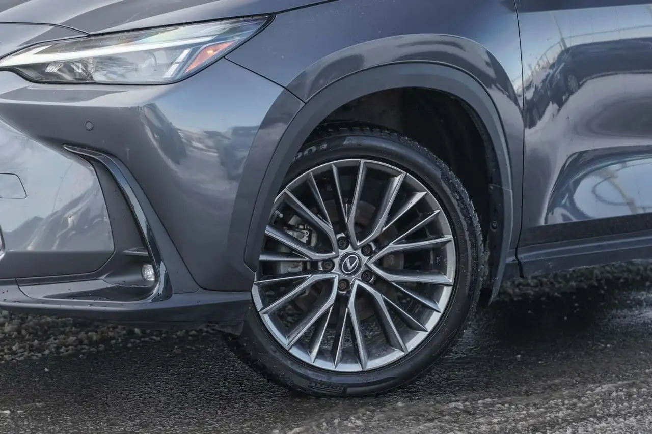 Lexus NX fotografie Lexus NX