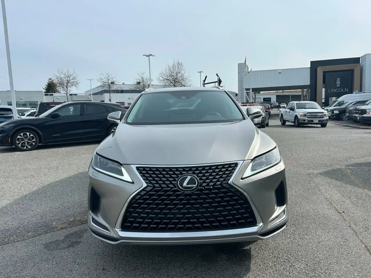 Lexus RX photo Lexus RX