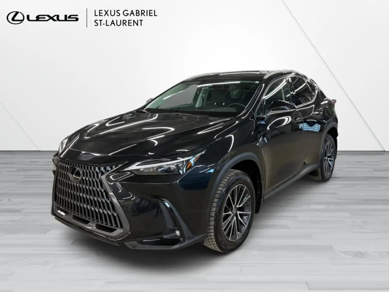 2024 Lexus NX