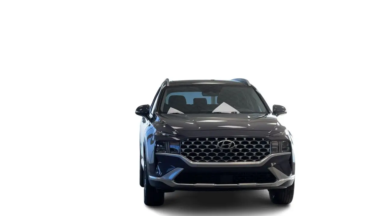 Hyundai SANTA FE fotografie Hyundai SANTA FE