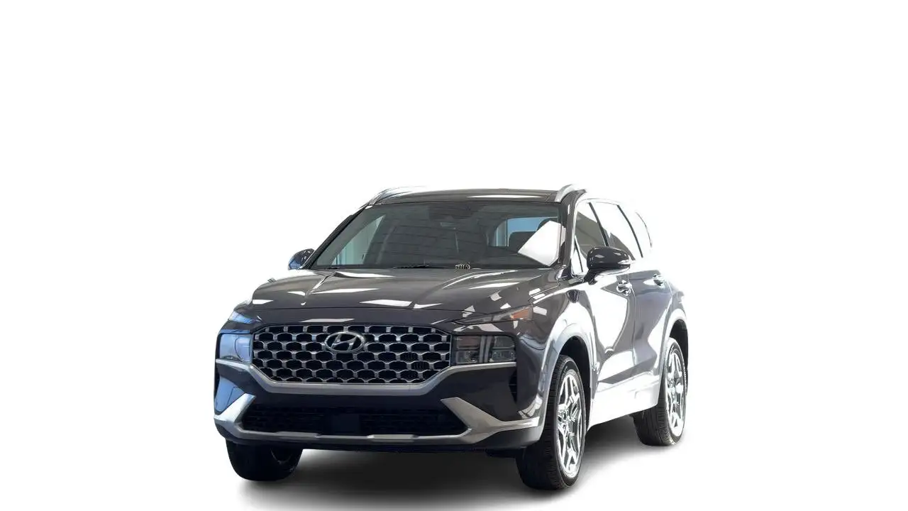 Hyundai SANTA FE fotografie Hyundai SANTA FE