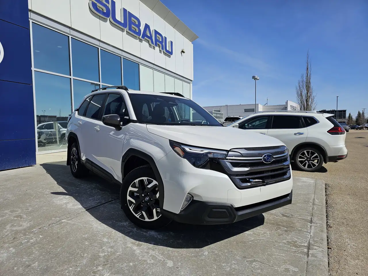 Subaru Forester photo Subaru Forester