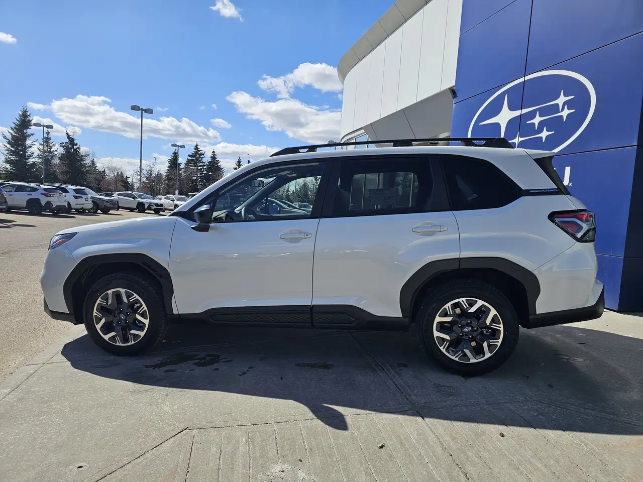 Subaru Forester photo Subaru Forester