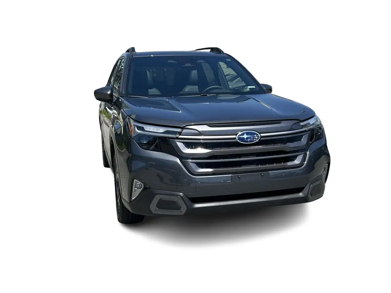 Subaru Forester fotografie Subaru Forester