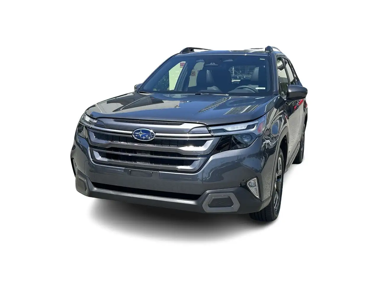 Subaru Forester fotografie Subaru Forester