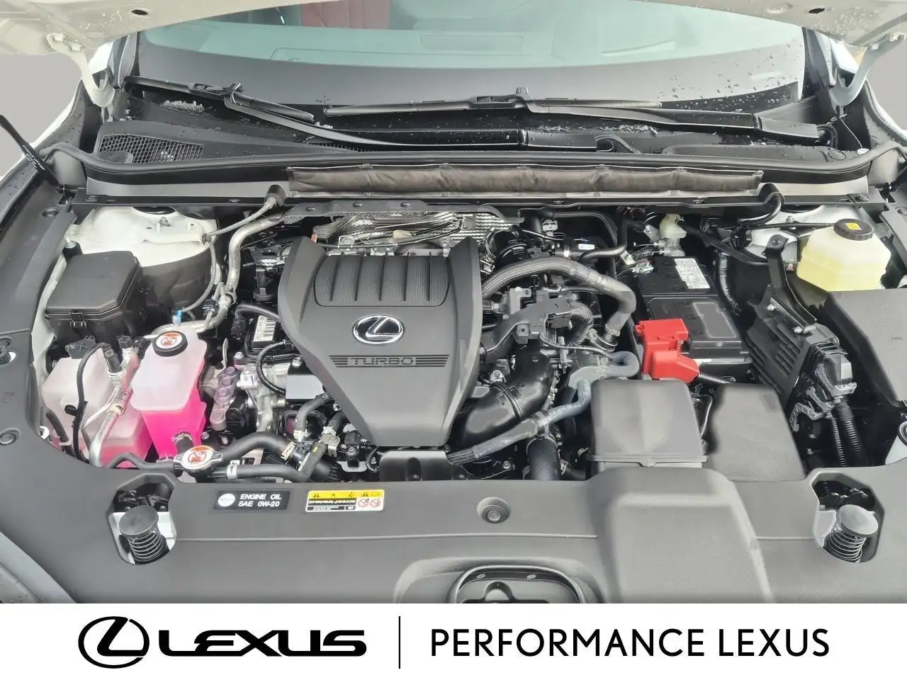 Lexus RX photo Lexus RX
