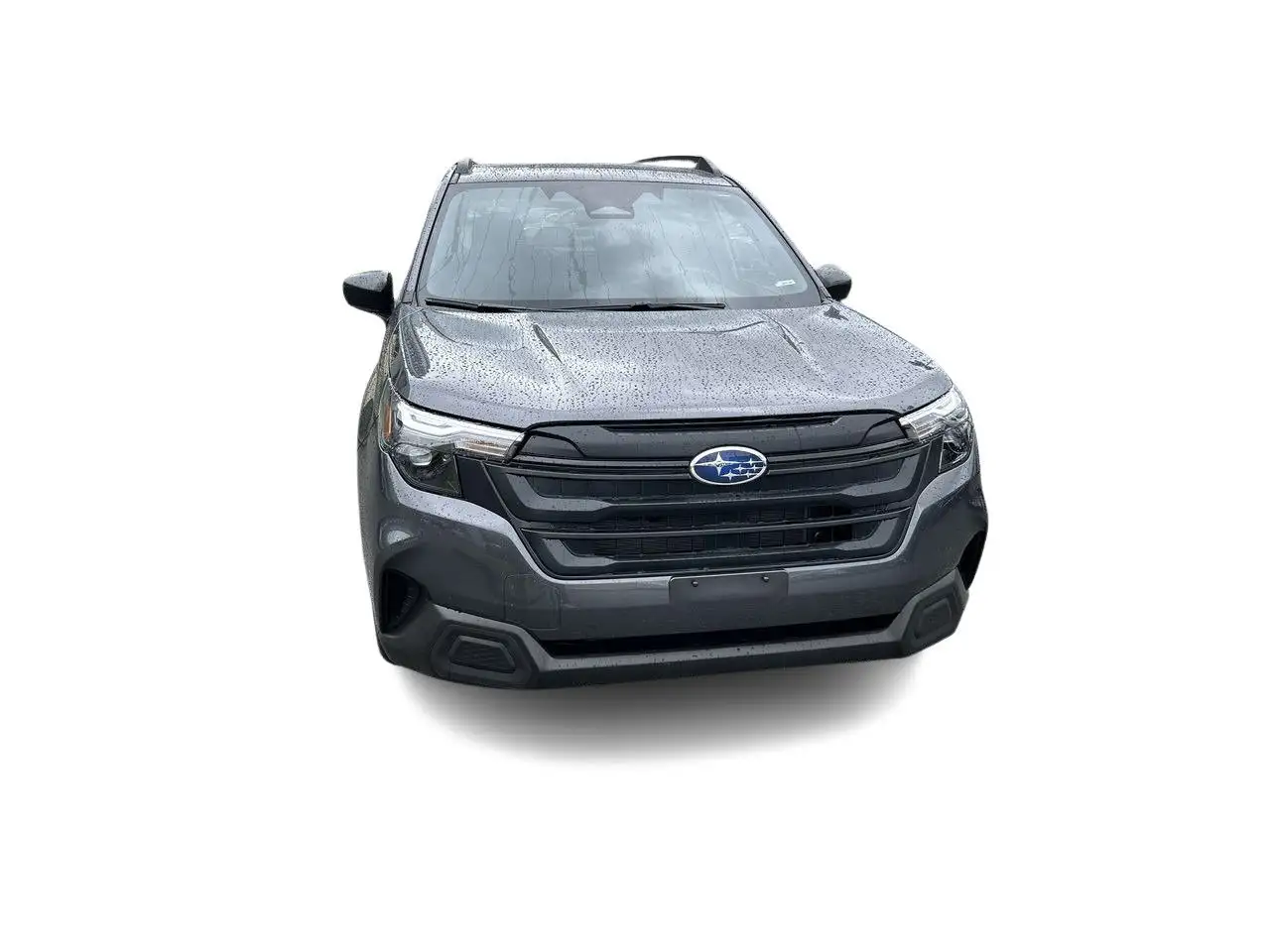 Subaru Forester photo Subaru Forester