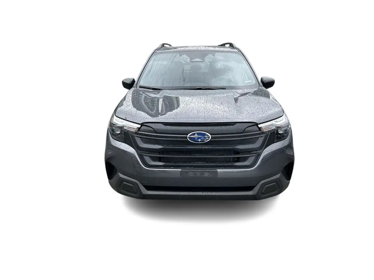 Subaru Forester photo Subaru Forester