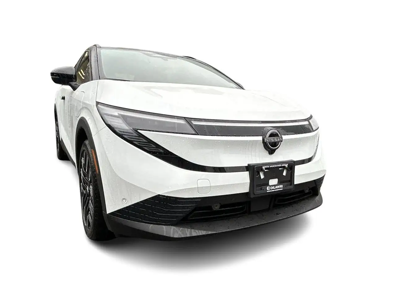 Nissan Leaf fotografie Nissan Leaf
