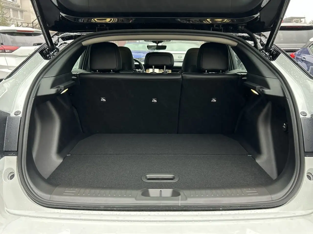 Nissan Leaf fotografie Nissan Leaf