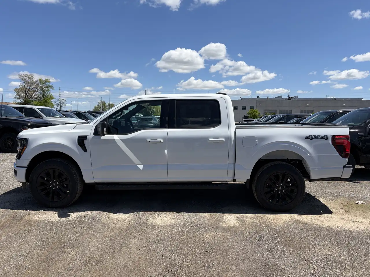 2026 Ford F 150