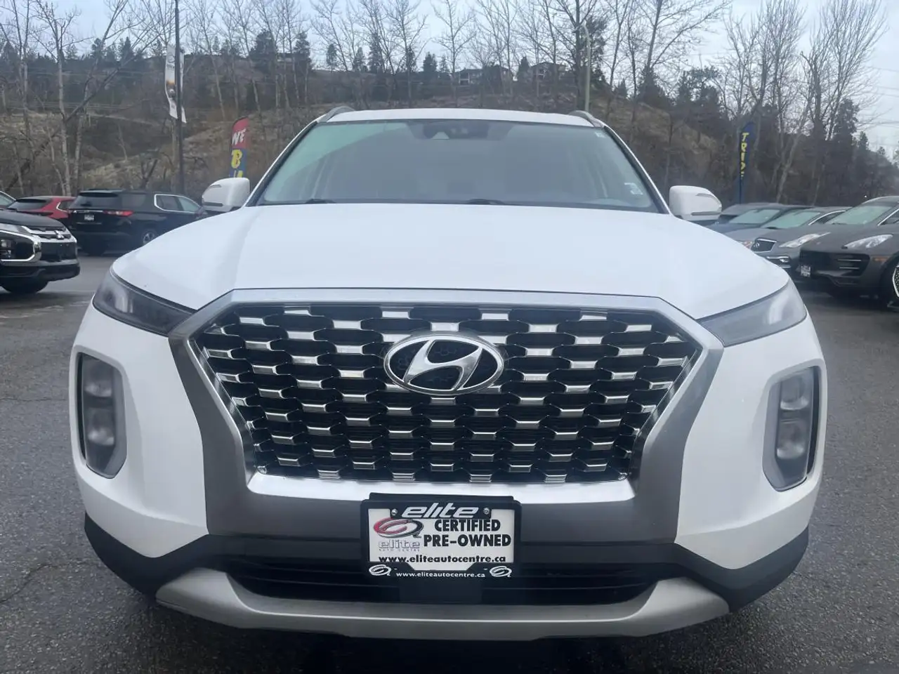 Hyundai PALISADE снимка Hyundai PALISADE