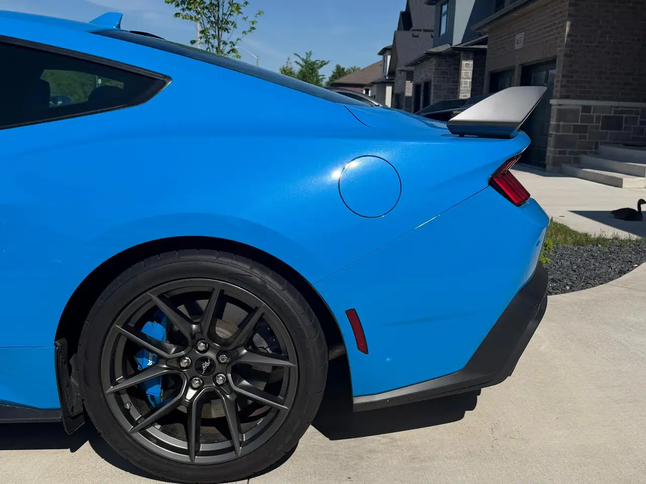Ford Mustang photo Ford Mustang