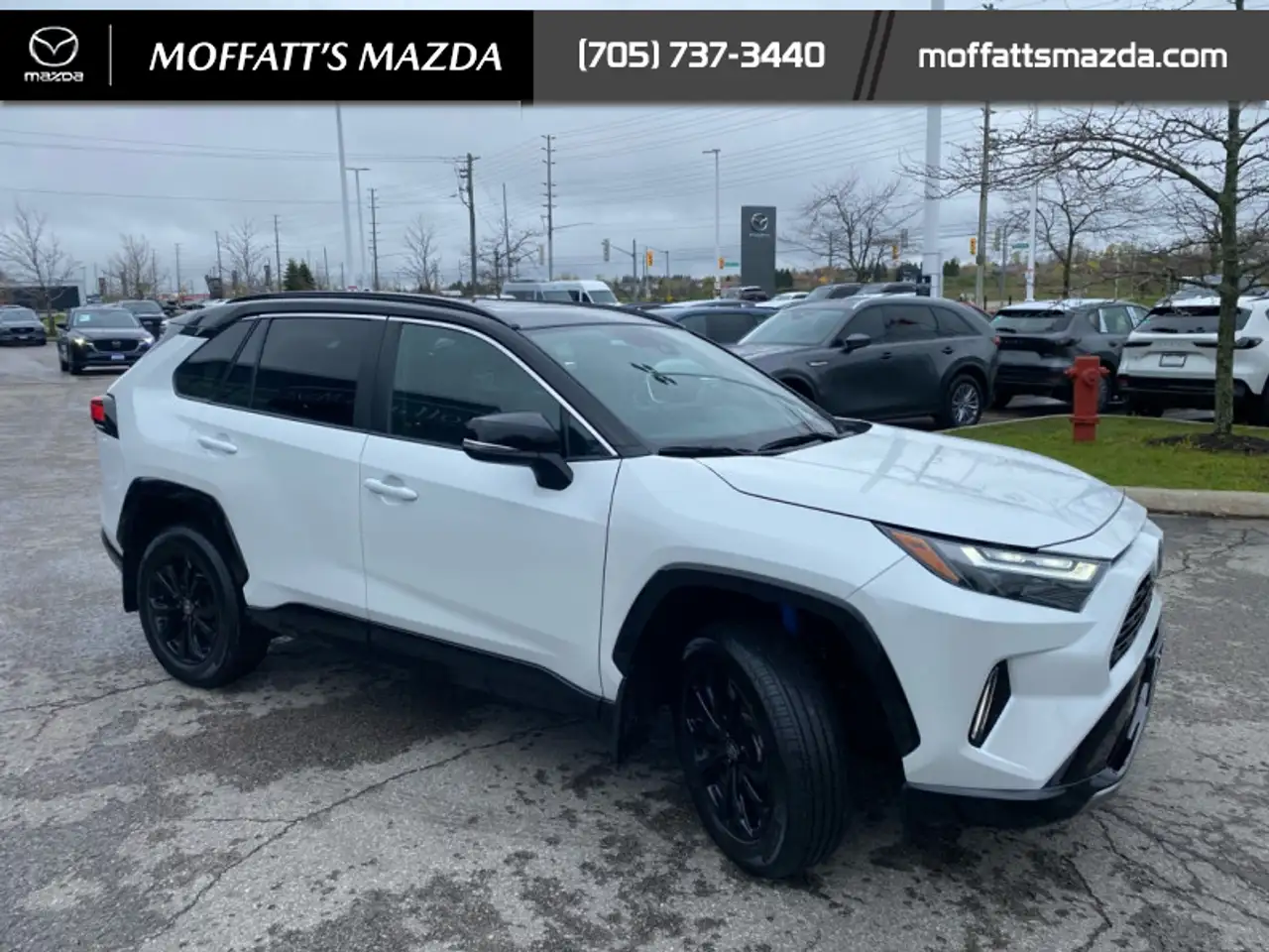 Toyota RAV 4 photo Toyota RAV 4
