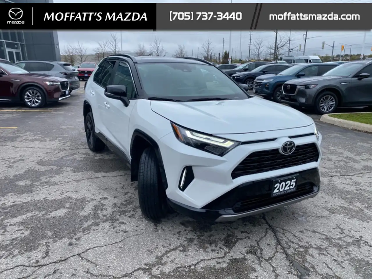 Toyota RAV 4 photo Toyota RAV 4