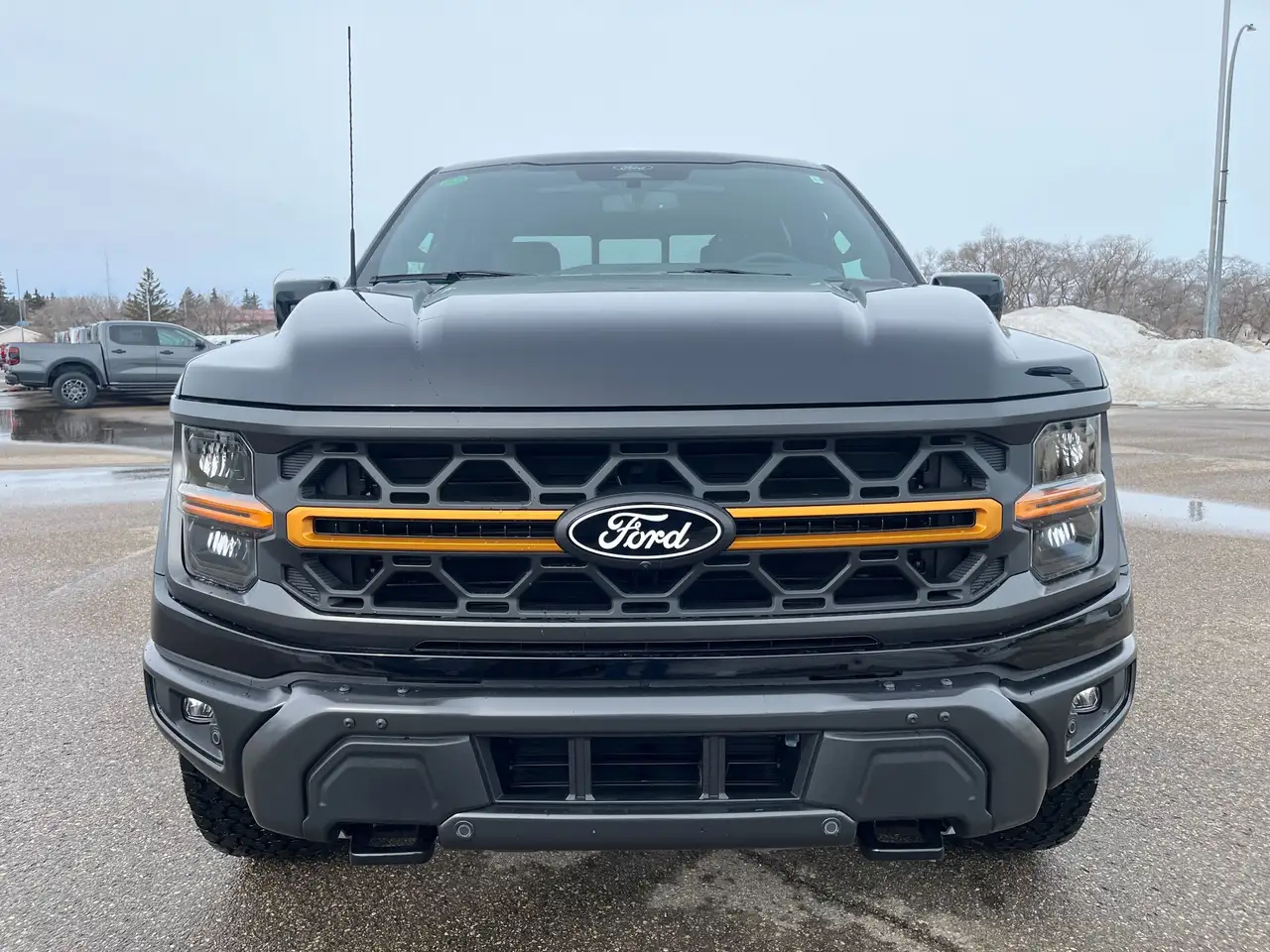 Ford F 150 снимка Ford F 150