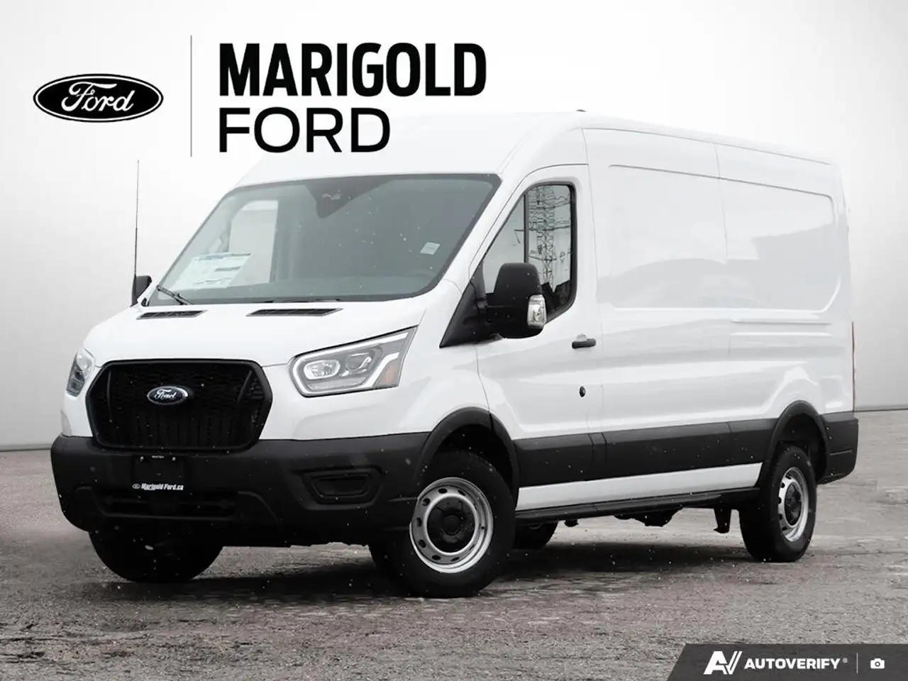 Ford Transit Cargo Van снимка Ford Transit Cargo Van