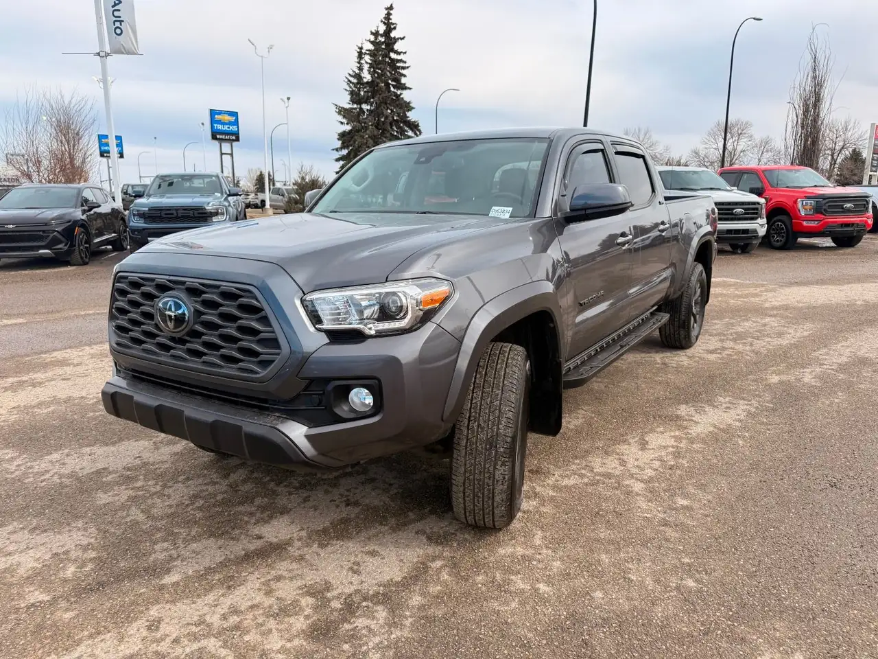Toyota Tacoma fotografie Toyota Tacoma