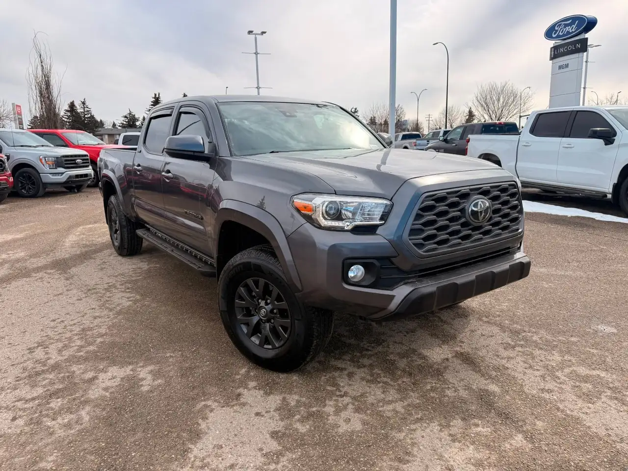 Toyota Tacoma fotografie Toyota Tacoma