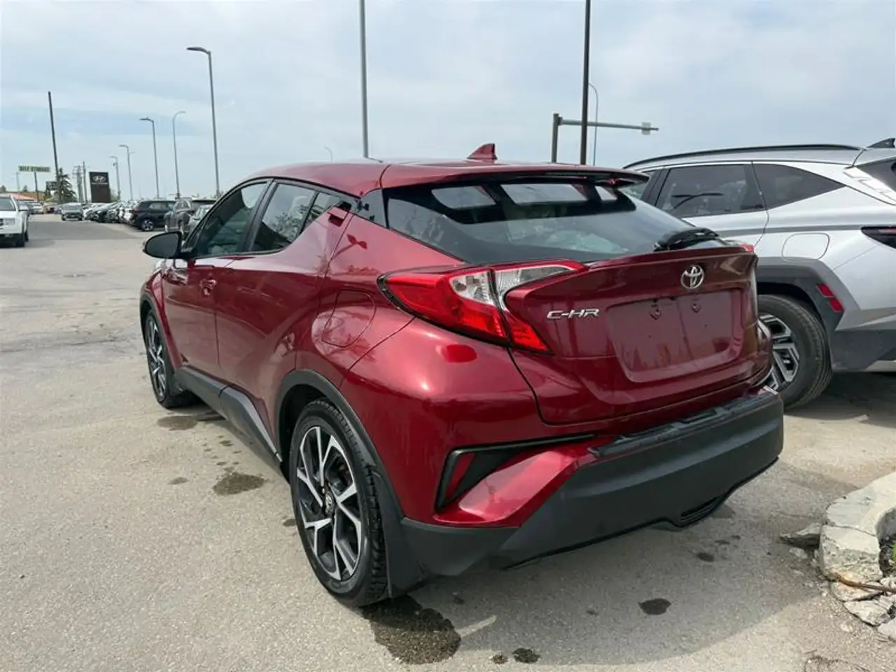 Toyota C-HR fotografie Toyota C-HR