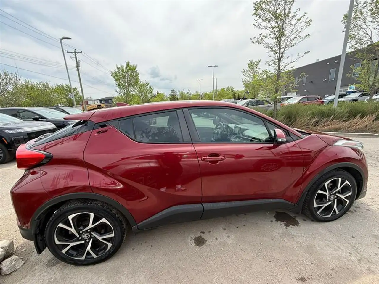 Toyota C-HR fotografie Toyota C-HR