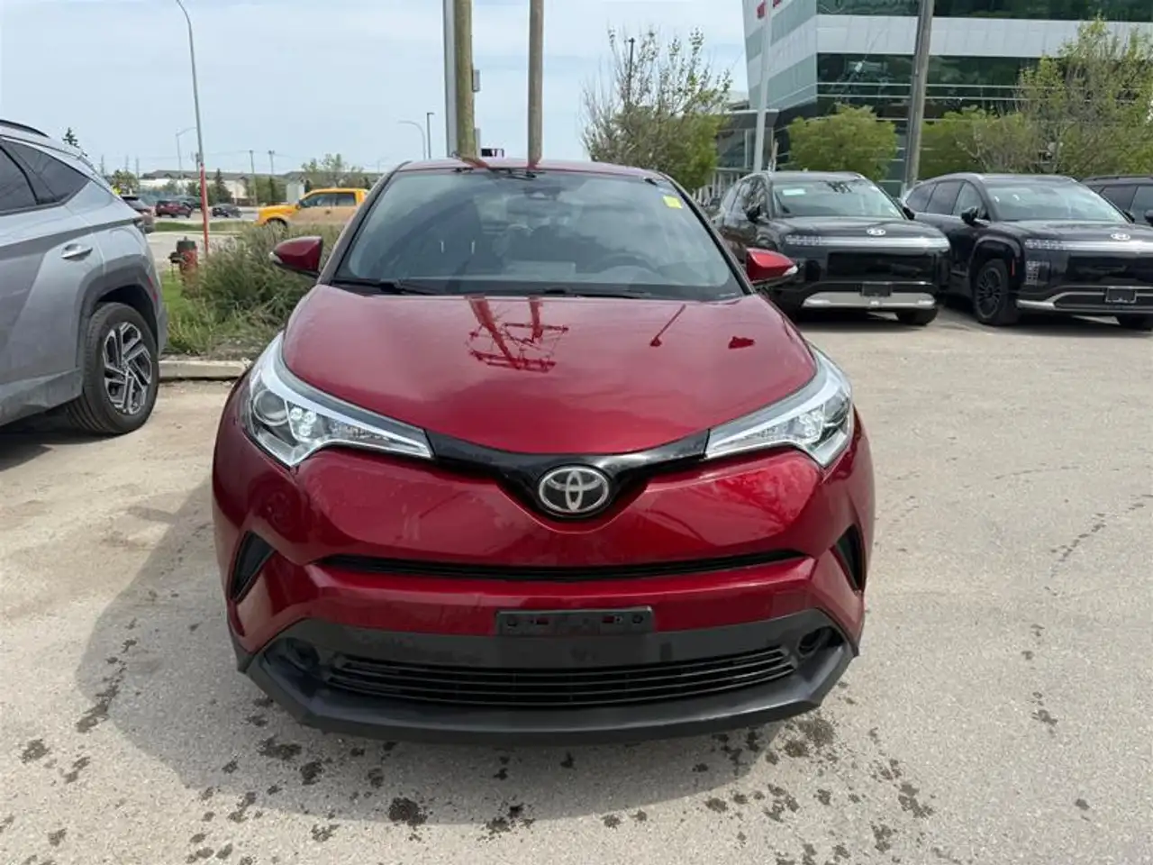 Toyota C-HR fotografie Toyota C-HR