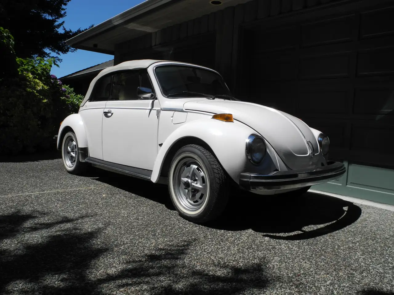 Volkswagen Beetle fotografie Volkswagen Beetle