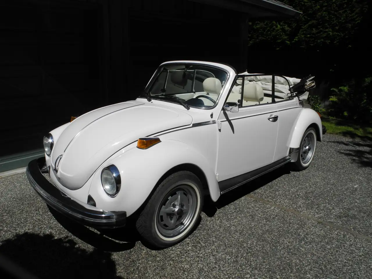 Volkswagen Beetle fotografie Volkswagen Beetle