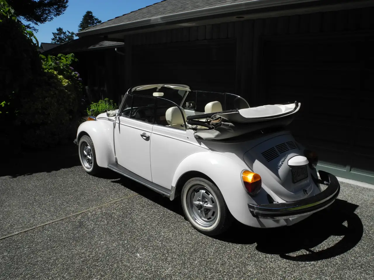 Volkswagen Beetle fotografie Volkswagen Beetle