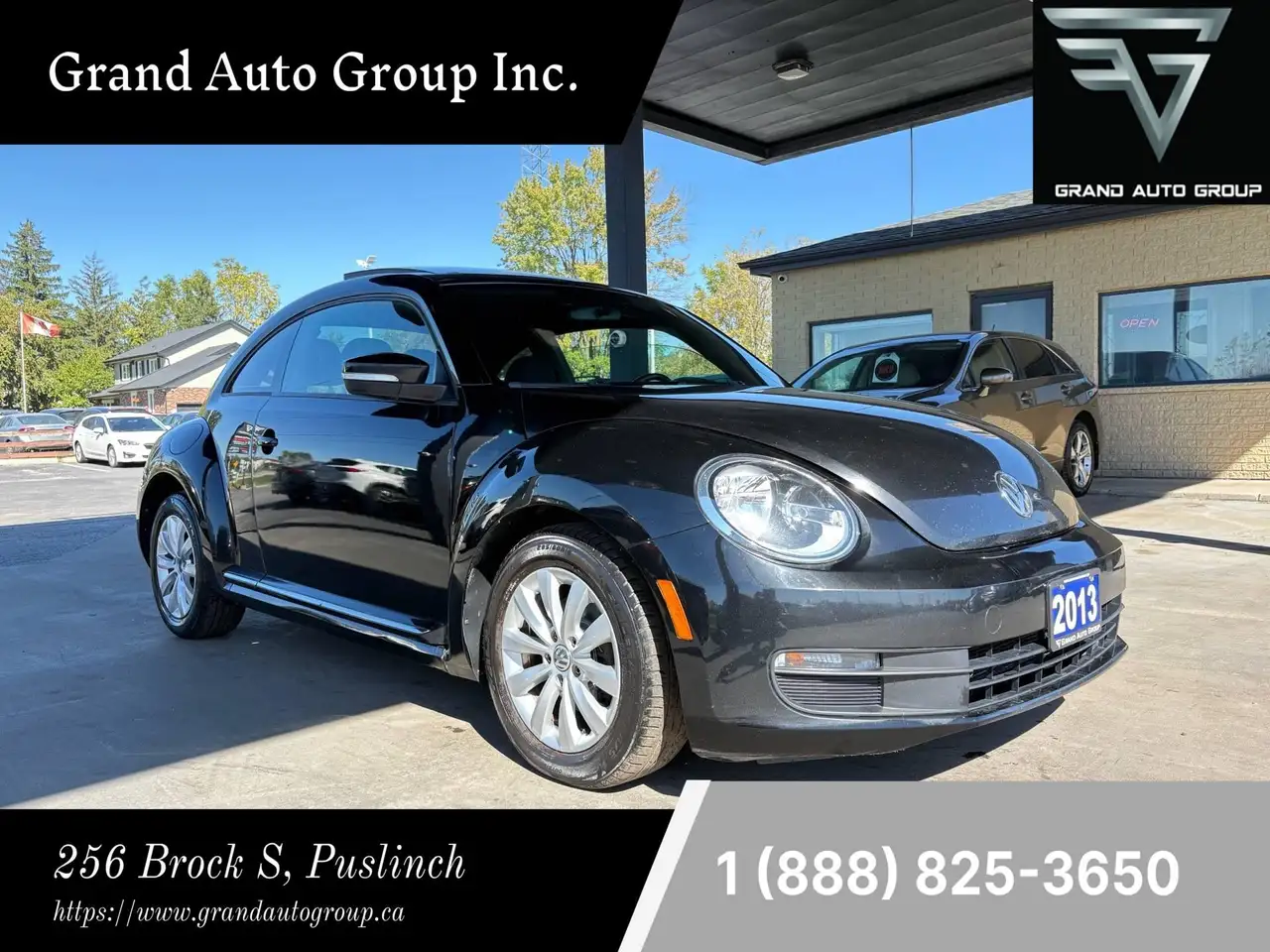 Volkswagen Beetle fotografie Volkswagen Beetle