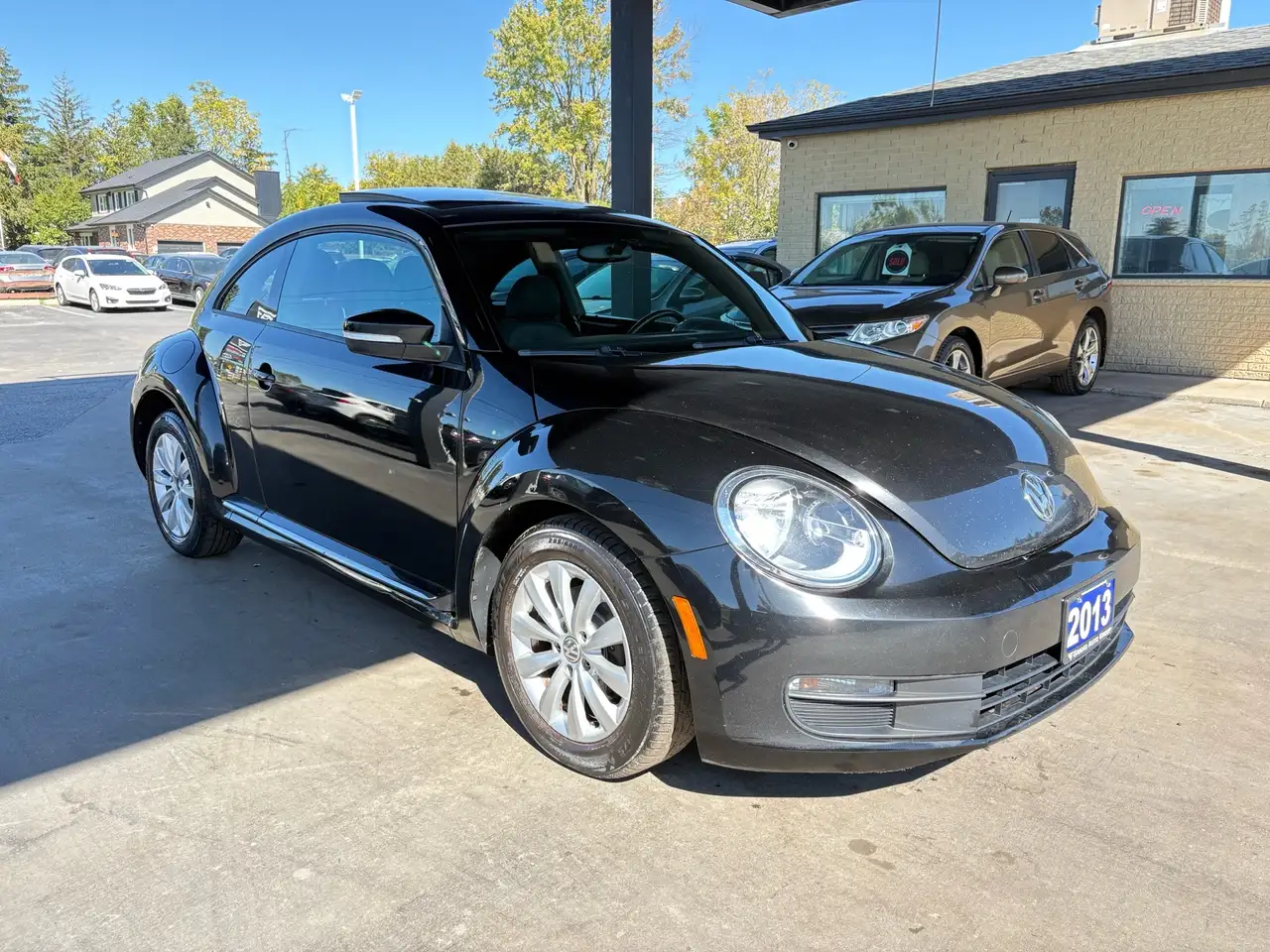 Volkswagen Beetle fotografie Volkswagen Beetle