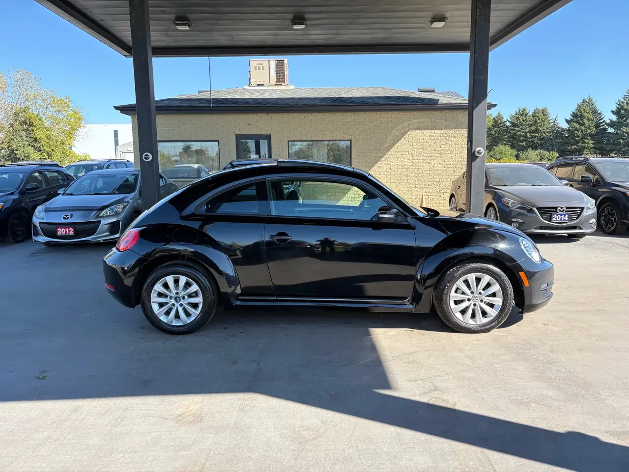 Volkswagen Beetle fotografie Volkswagen Beetle