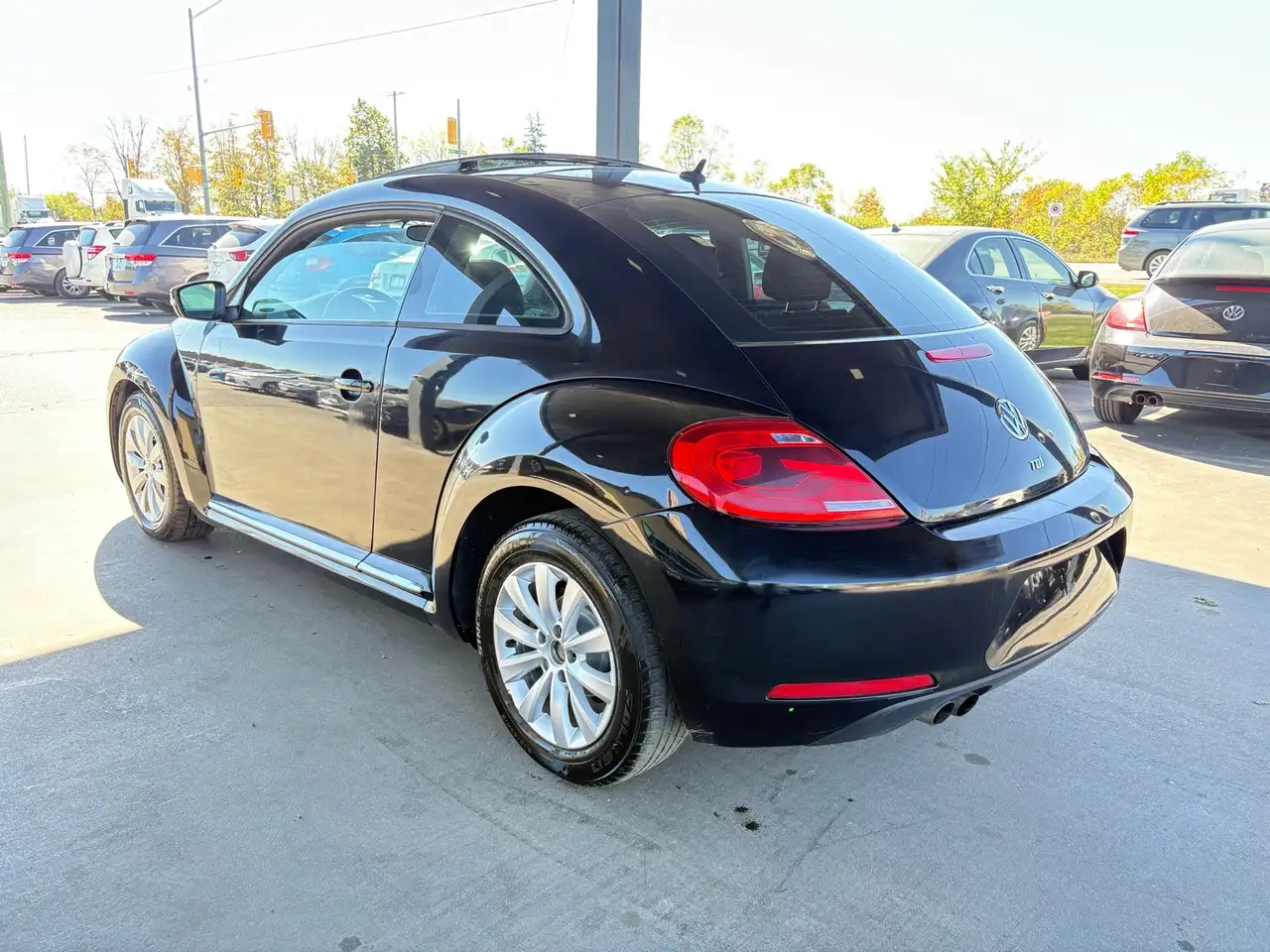 Volkswagen Beetle fotografie Volkswagen Beetle