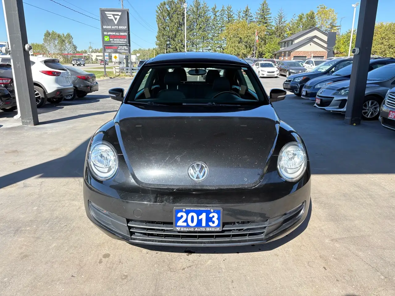Volkswagen Beetle fotografie Volkswagen Beetle