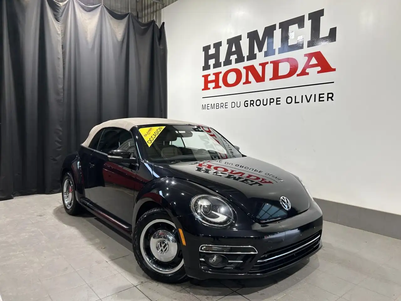 Volkswagen Beetle снимка Volkswagen Beetle