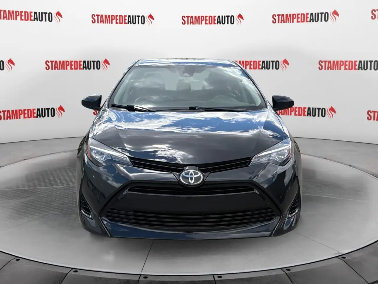Toyota Corolla fotografie Toyota Corolla