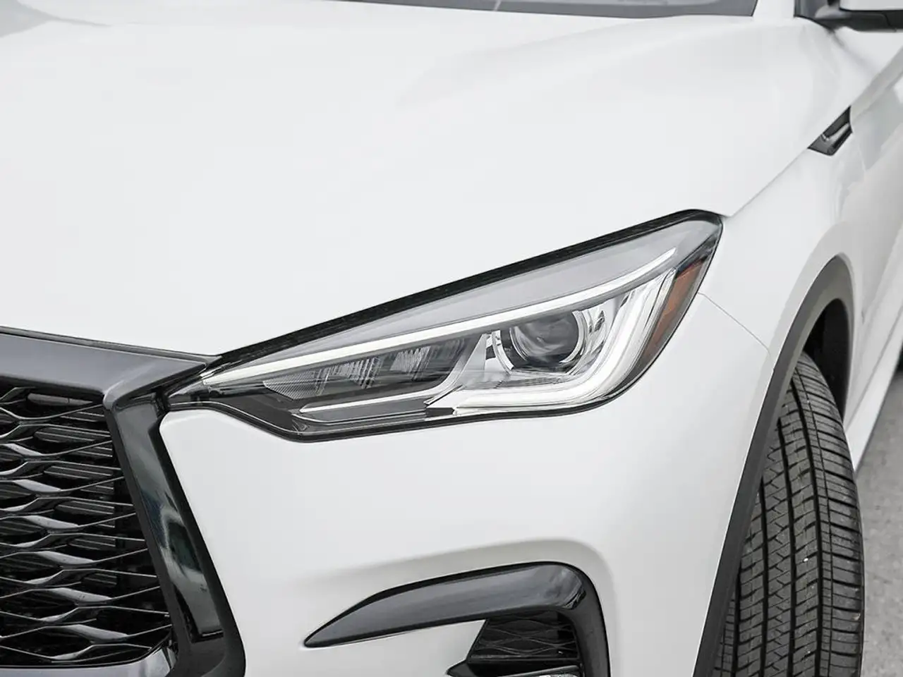 Infiniti QX50 photo Infiniti QX50