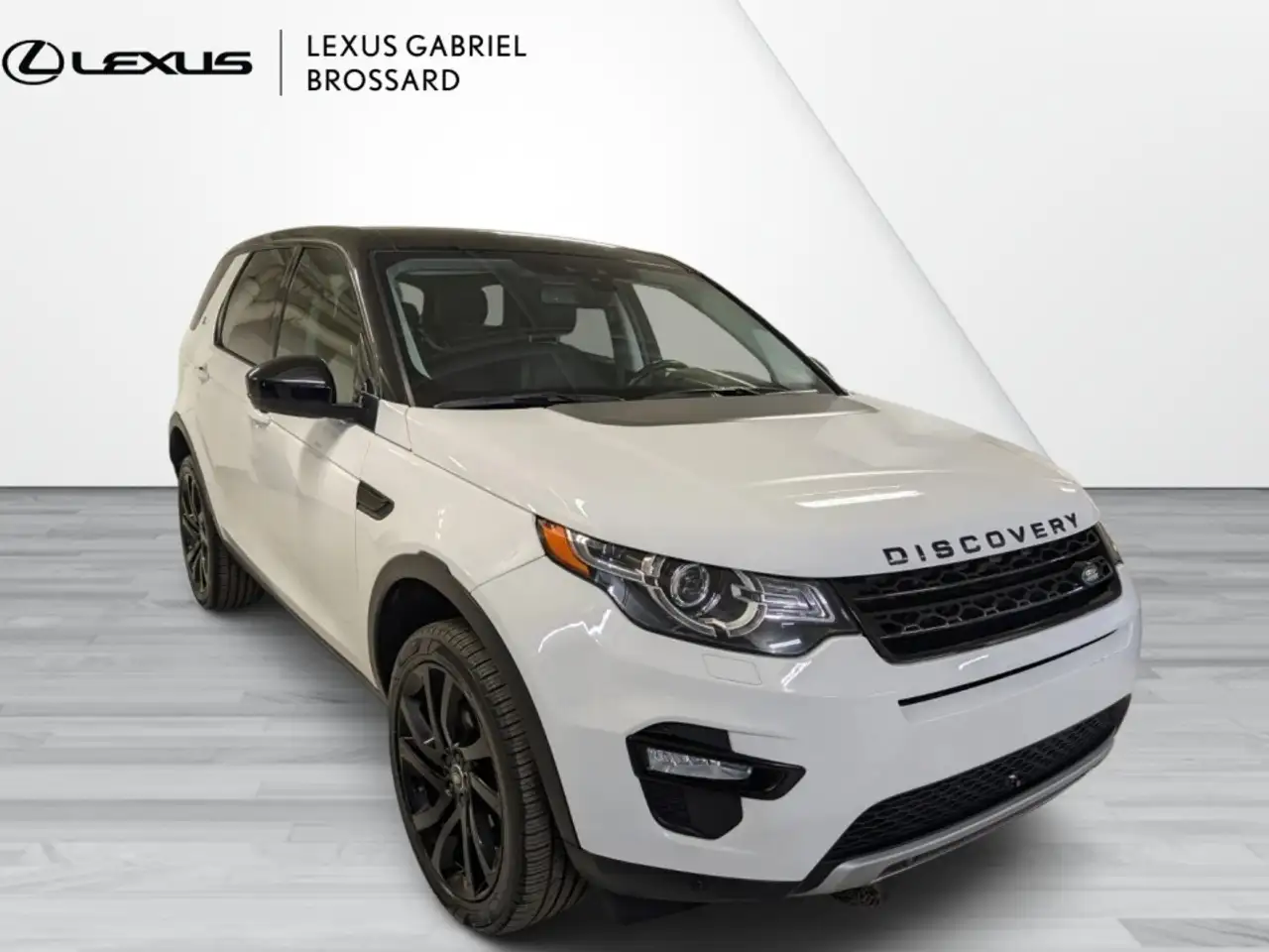 Land Rover Discovery Sport fotografie Land Rover Discovery Sport