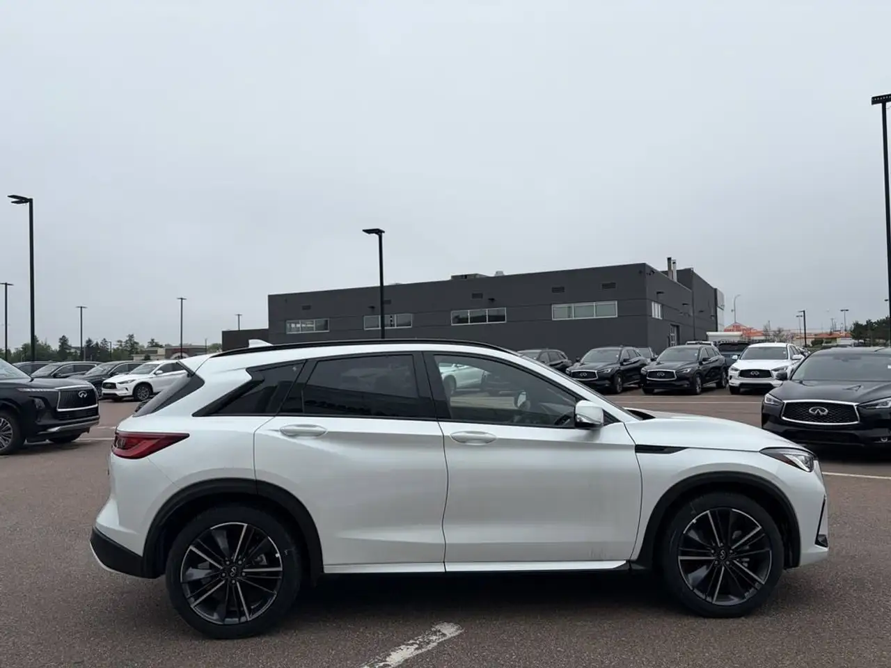 Infiniti QX50 photo Infiniti QX50