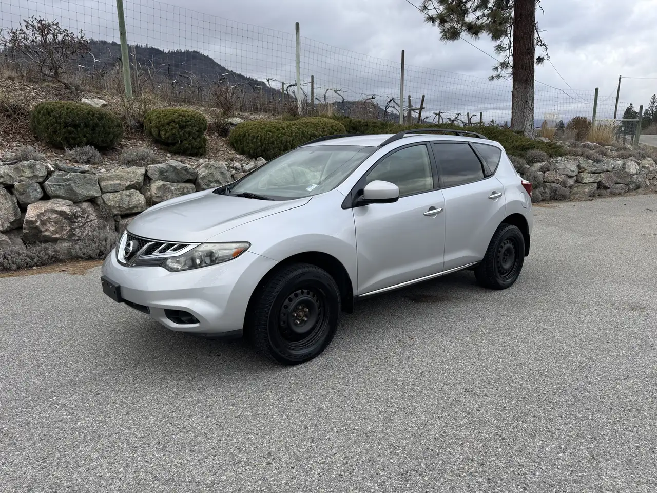 Nissan Murano photo Nissan Murano
