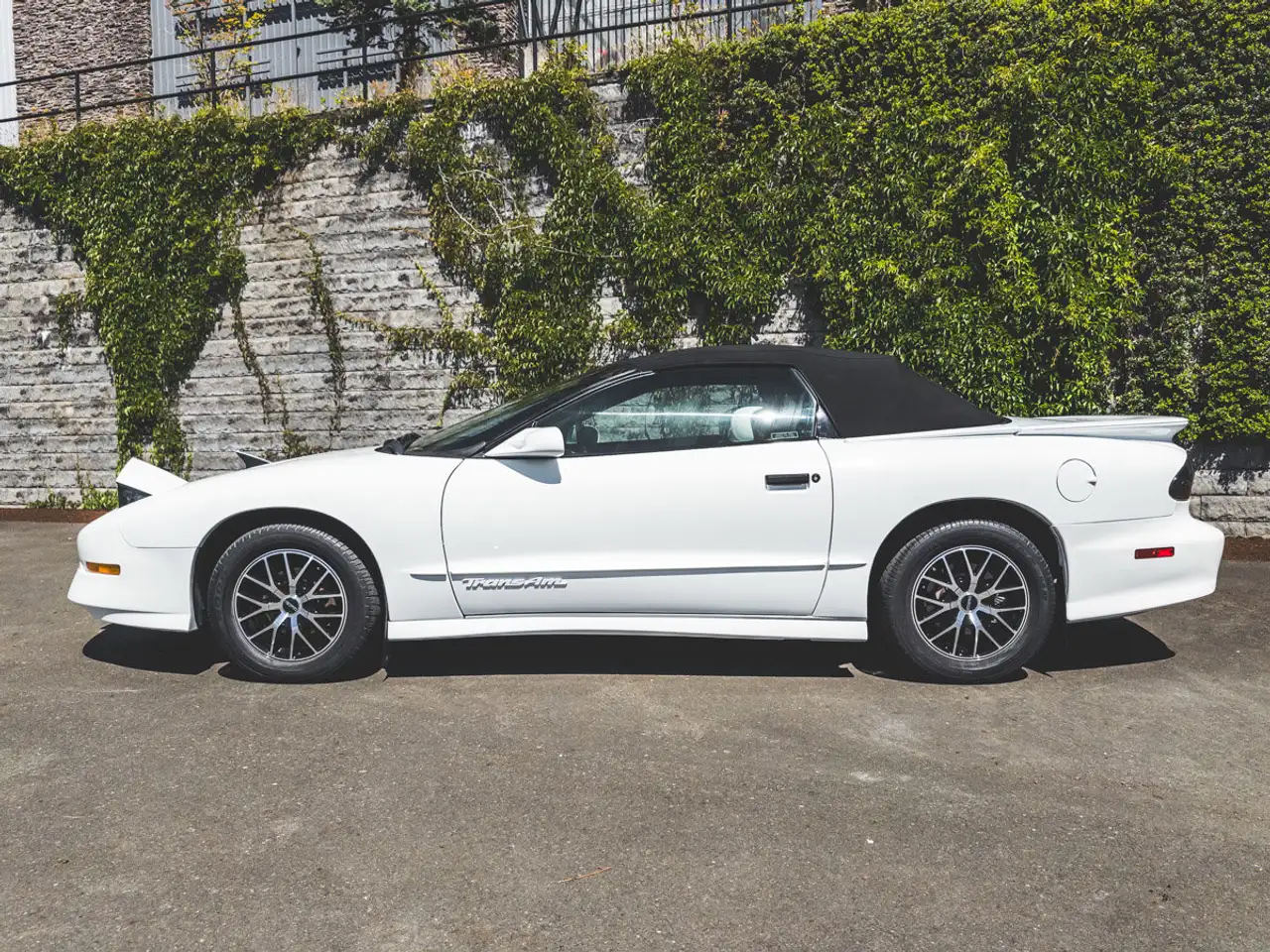 Pontiac Firebird fotografie Pontiac Firebird