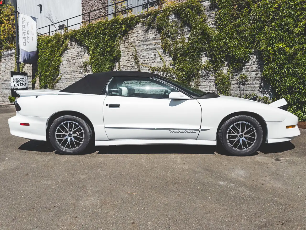 Pontiac Firebird fotografie Pontiac Firebird