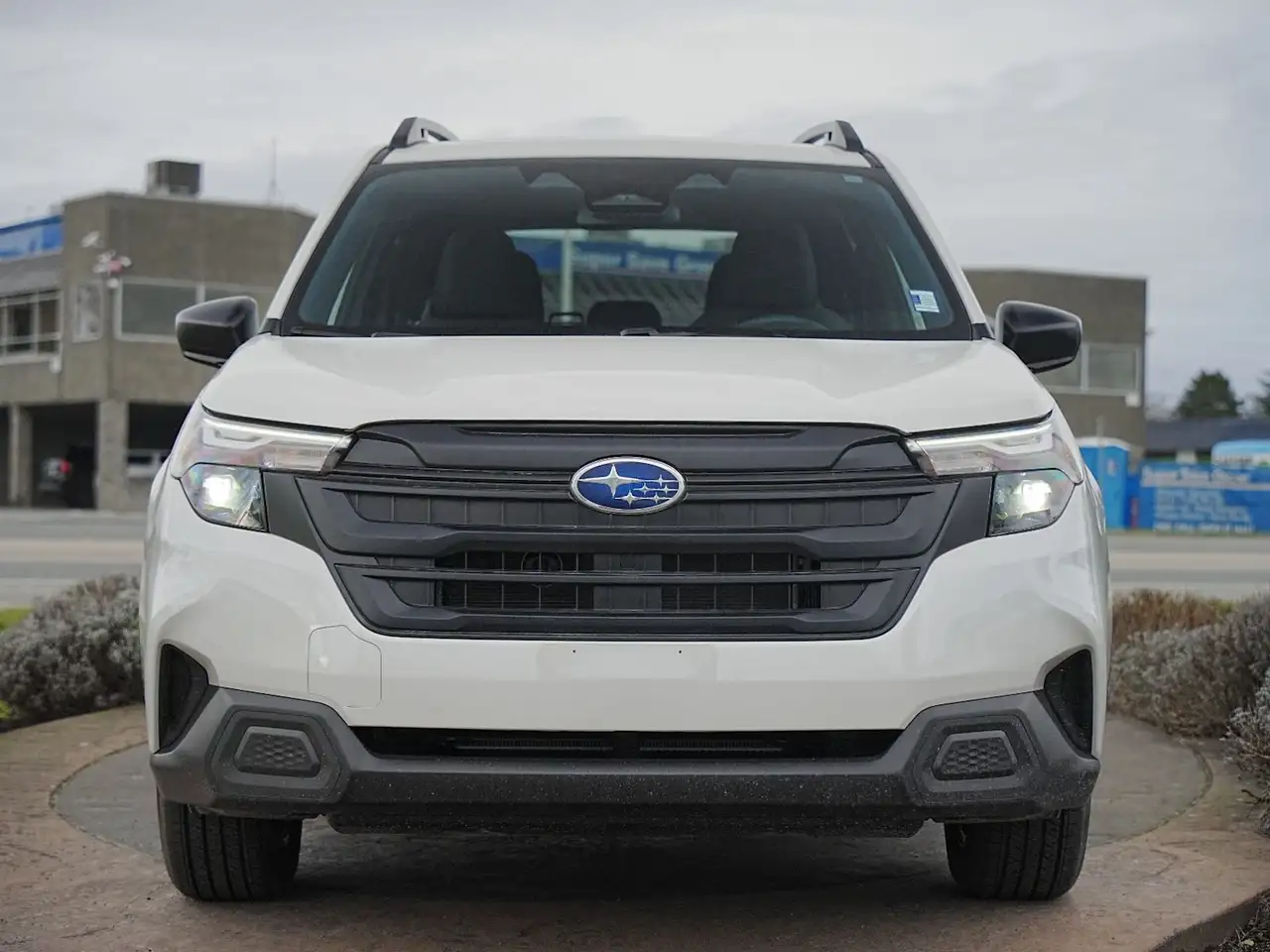 Subaru Forester fotografie Subaru Forester