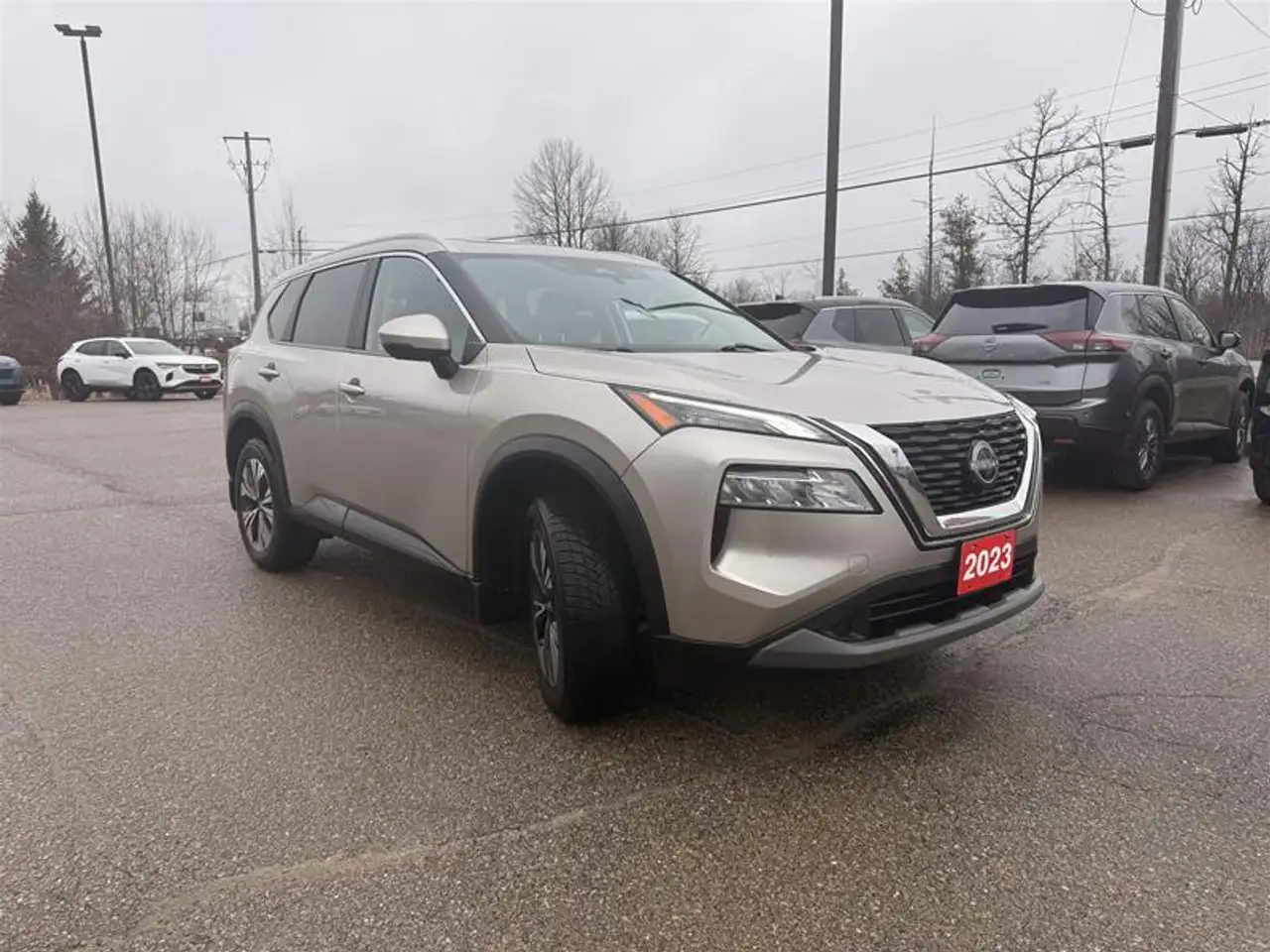 Nissan Rogue снимка Nissan Rogue