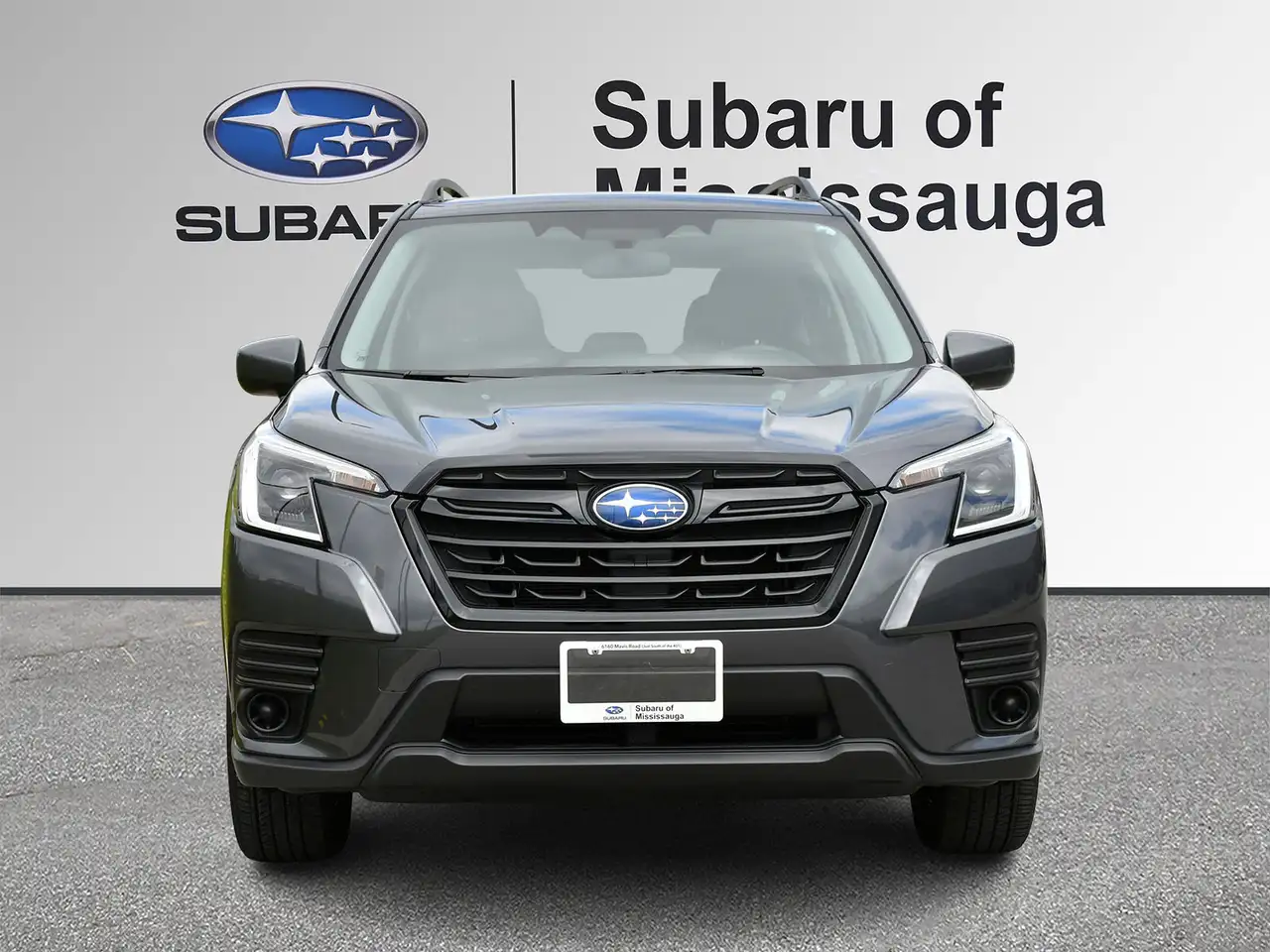 Subaru Forester fotografie Subaru Forester