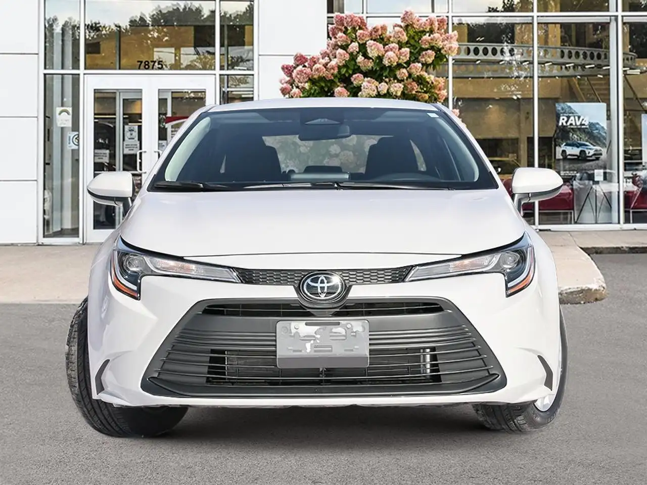 Toyota Corolla снимка Toyota Corolla