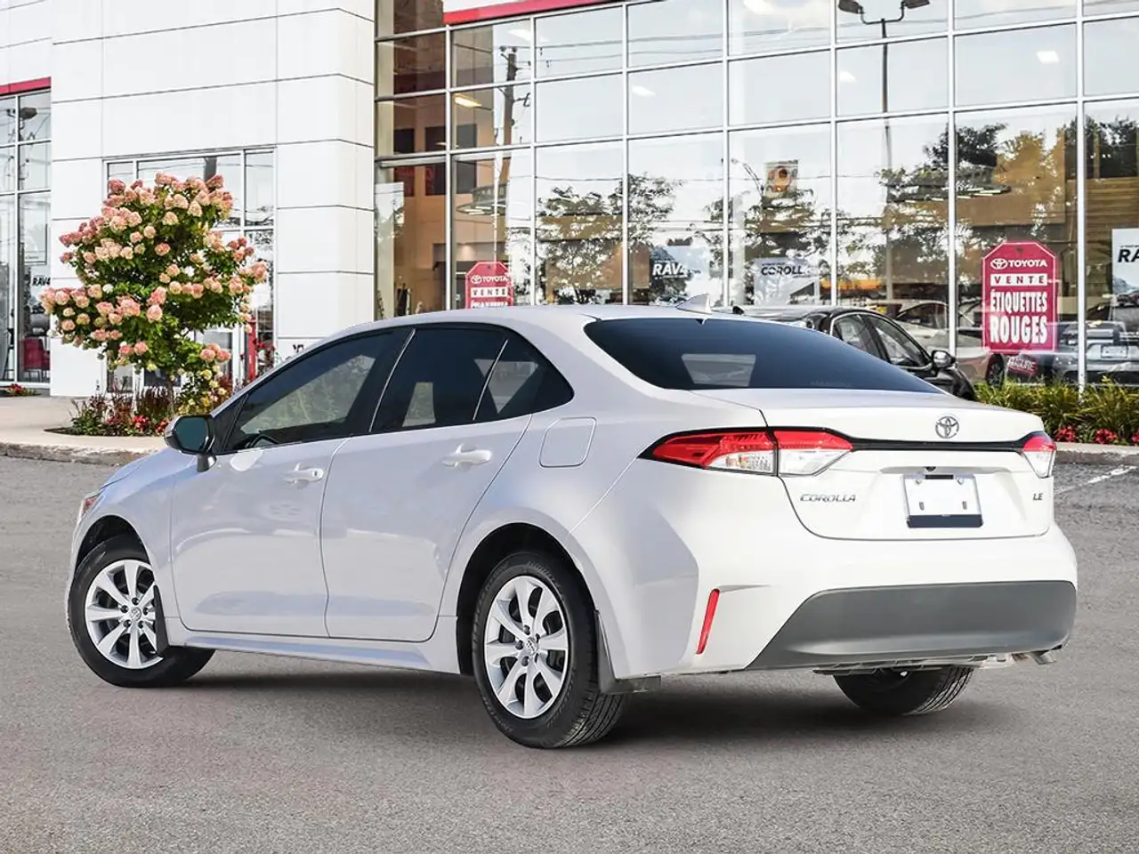 Toyota Corolla снимка Toyota Corolla