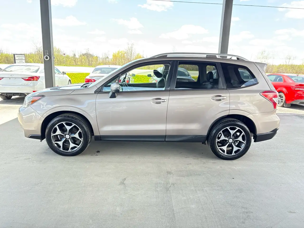 Subaru Forester fotografie Subaru Forester