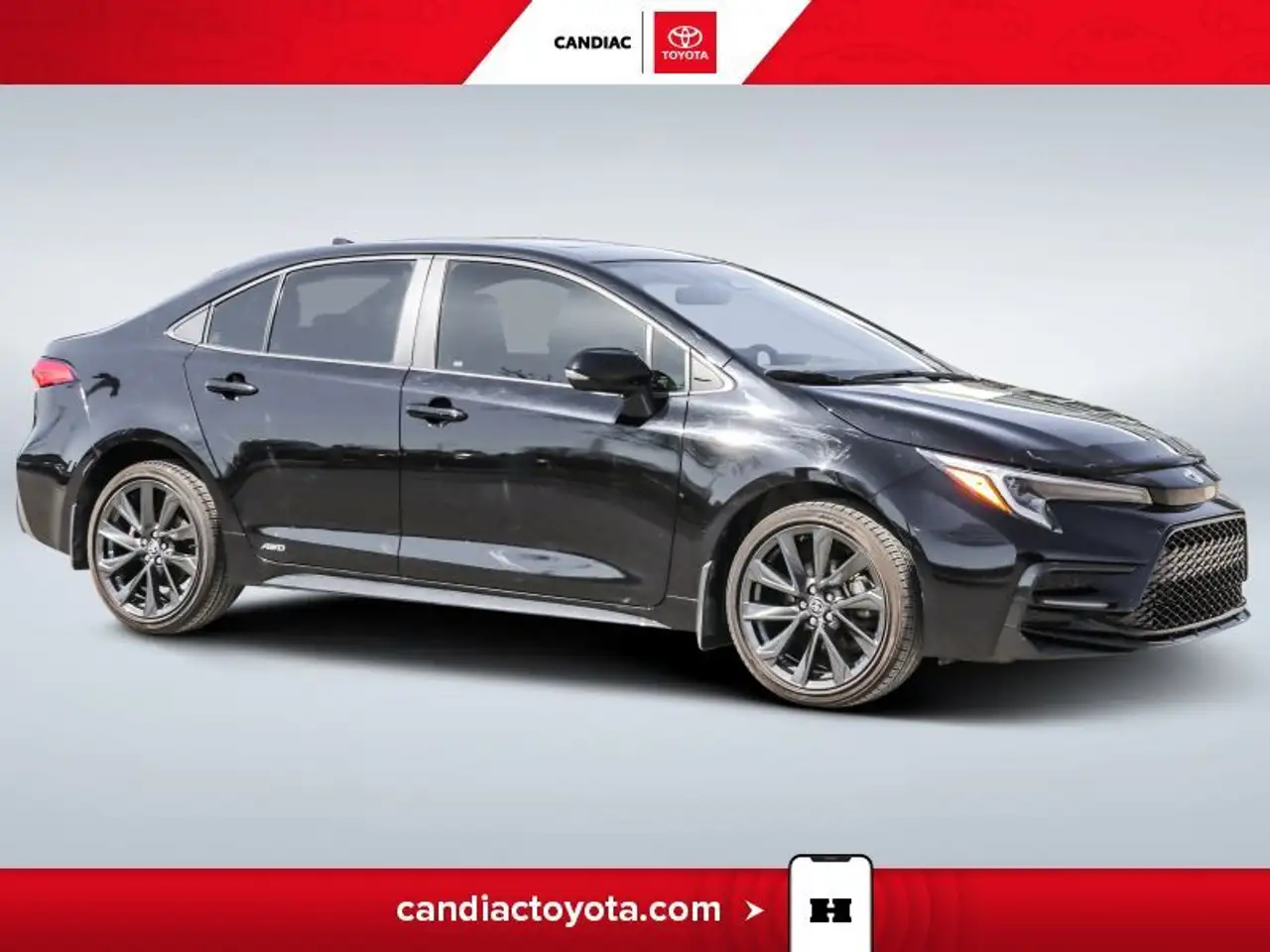 Toyota Corolla fotografie Toyota Corolla