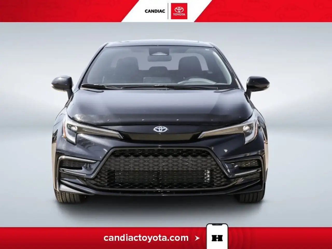 Toyota Corolla fotografie Toyota Corolla